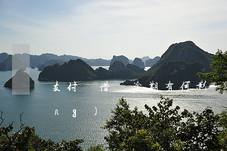支付寶借唄逾期有何影響？全網(wǎng)熱議！